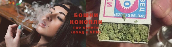 дживик Няндома