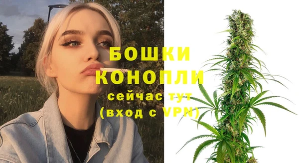 дживик Няндома